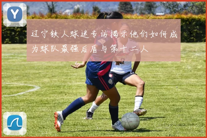 辽宁铁人球迷专访揭示他们如何成为球队最强后盾与第十二人